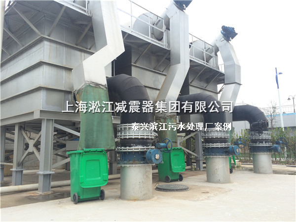 泰興橡膠接頭，污水處理廠橡膠接頭，泰興污水處理廠橡膠接頭